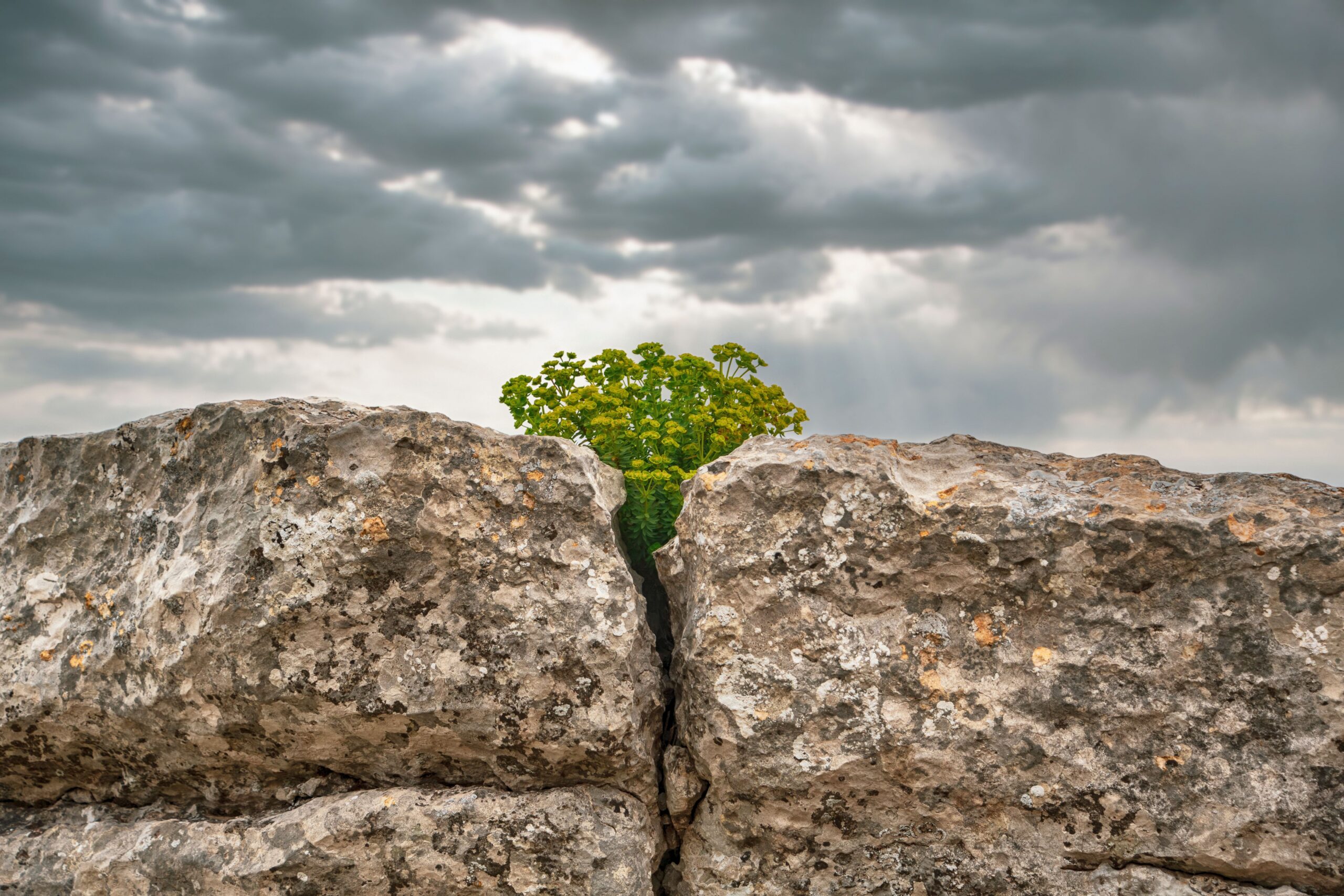 Wrestling Till Dawn | Rev. Darrell R. Hamilton, II